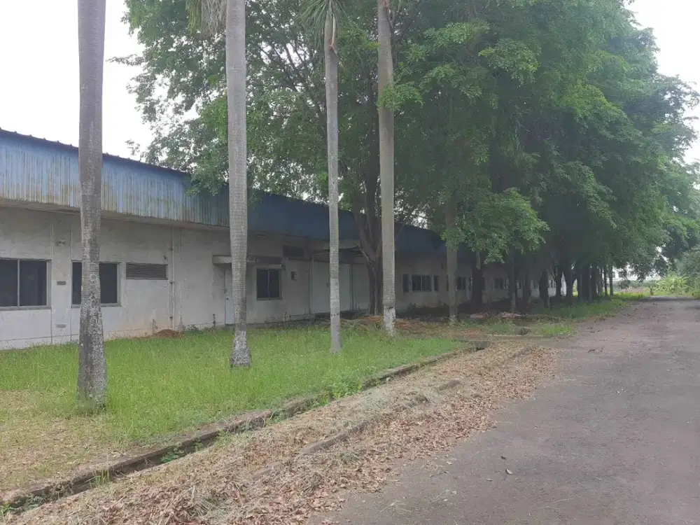 Pabrik Strategis di MM2100 Cikarang