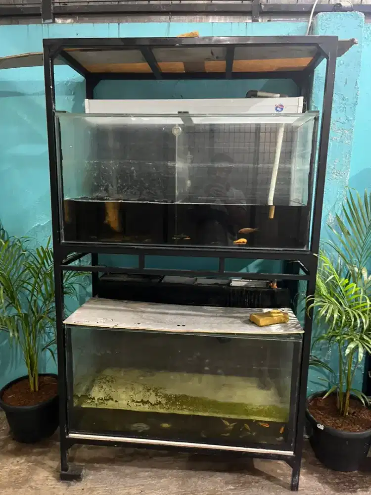 Rak Aquarium 2 tinggkat 100x50x50 set