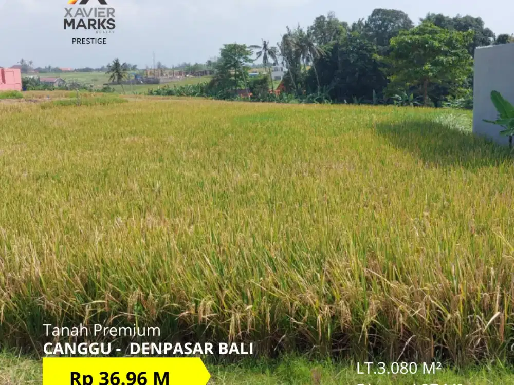 FOR SALE TANAH PREMIUM DI AREA CANGGU DENPASAR BALI