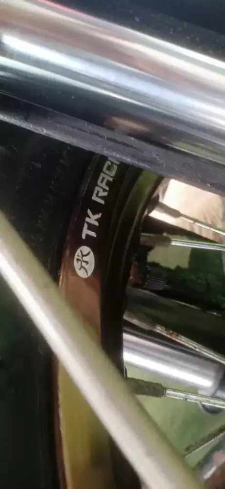 Tiger custom tracker