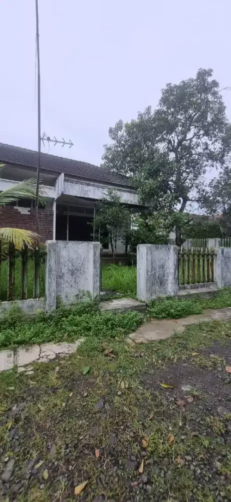 Rumah di sewakan ungaran