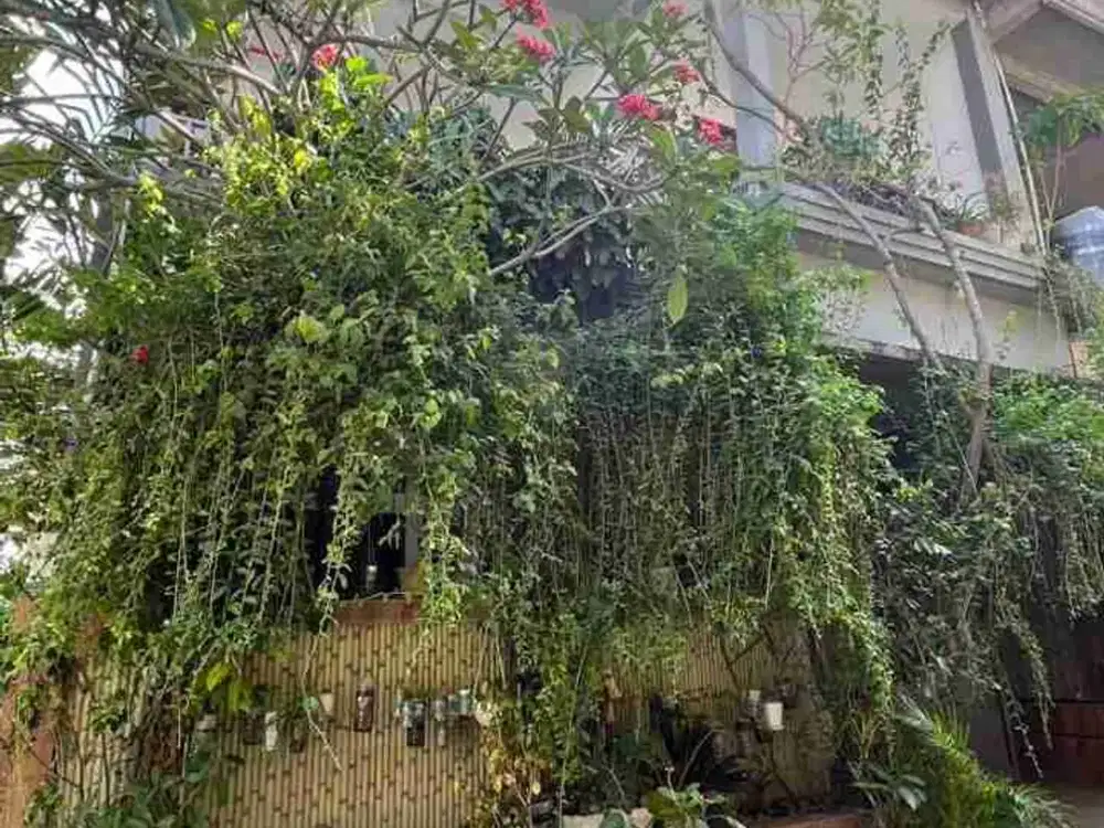 DIJUAL RUMAH LOKASI RENON