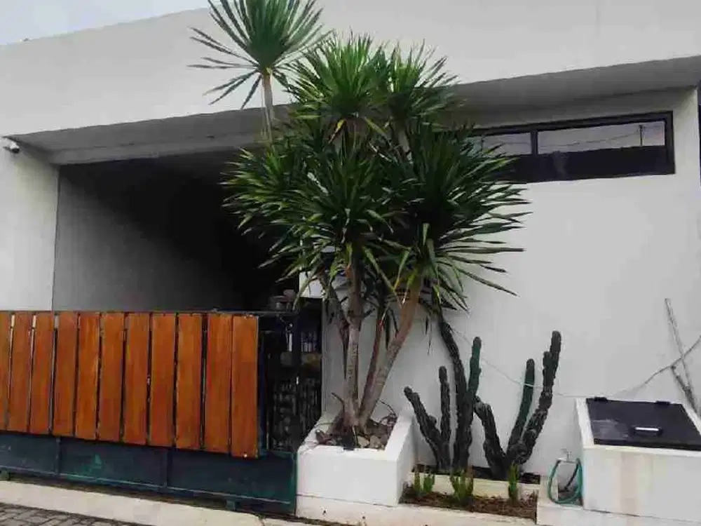 Rumah Cantik 2 Lt di Jl Tlogo Salma Utara dekat BPD 3