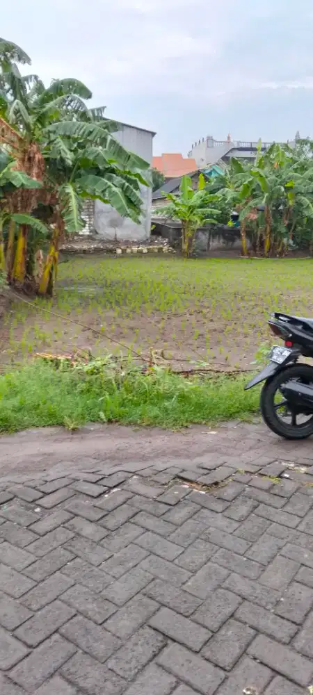 Jual tanah gempol kurung Menganti Gresik