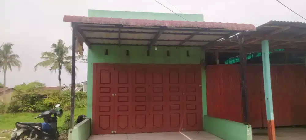 Dijacari tukang pangkas