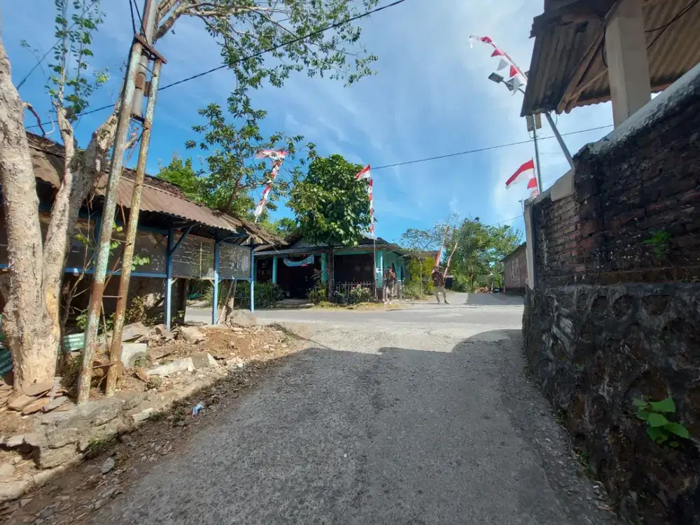 Investasi Murah Tanah Jogja Dekat Hutan Pinus, Cocok Villa