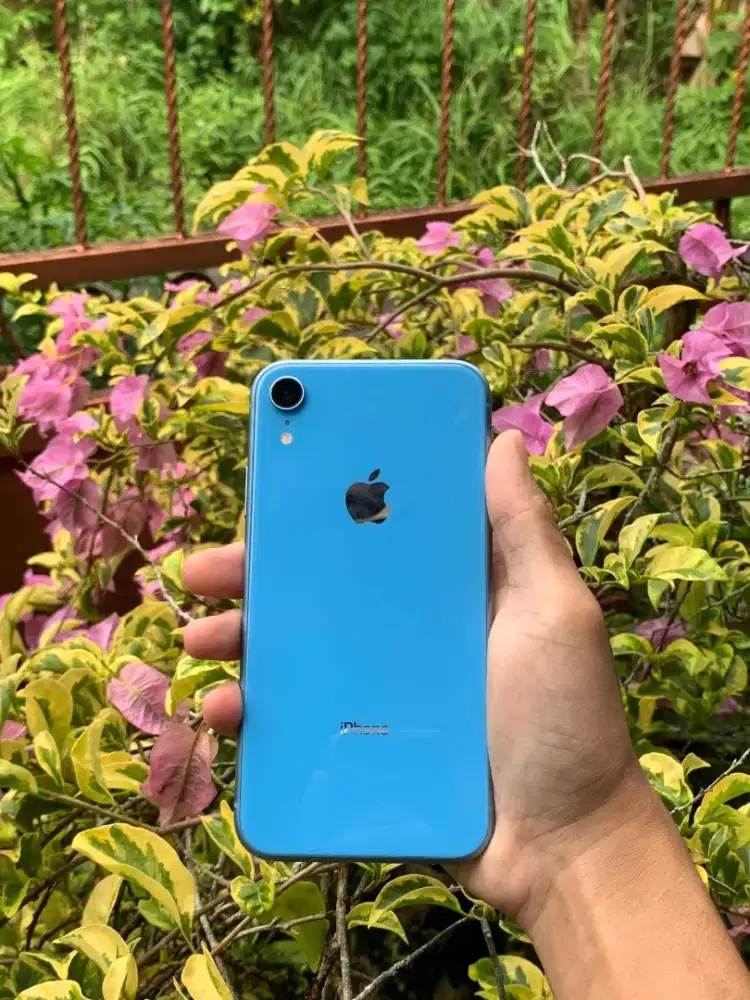 Iphone Xr 64gb Jaringan semua kartu