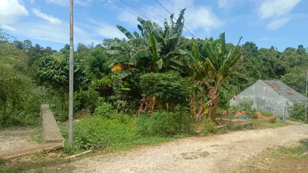 Tanah di daerah sumur putri