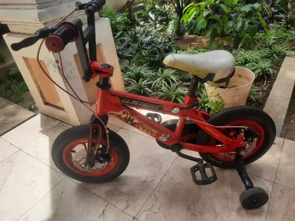 Sepeda anak element 12