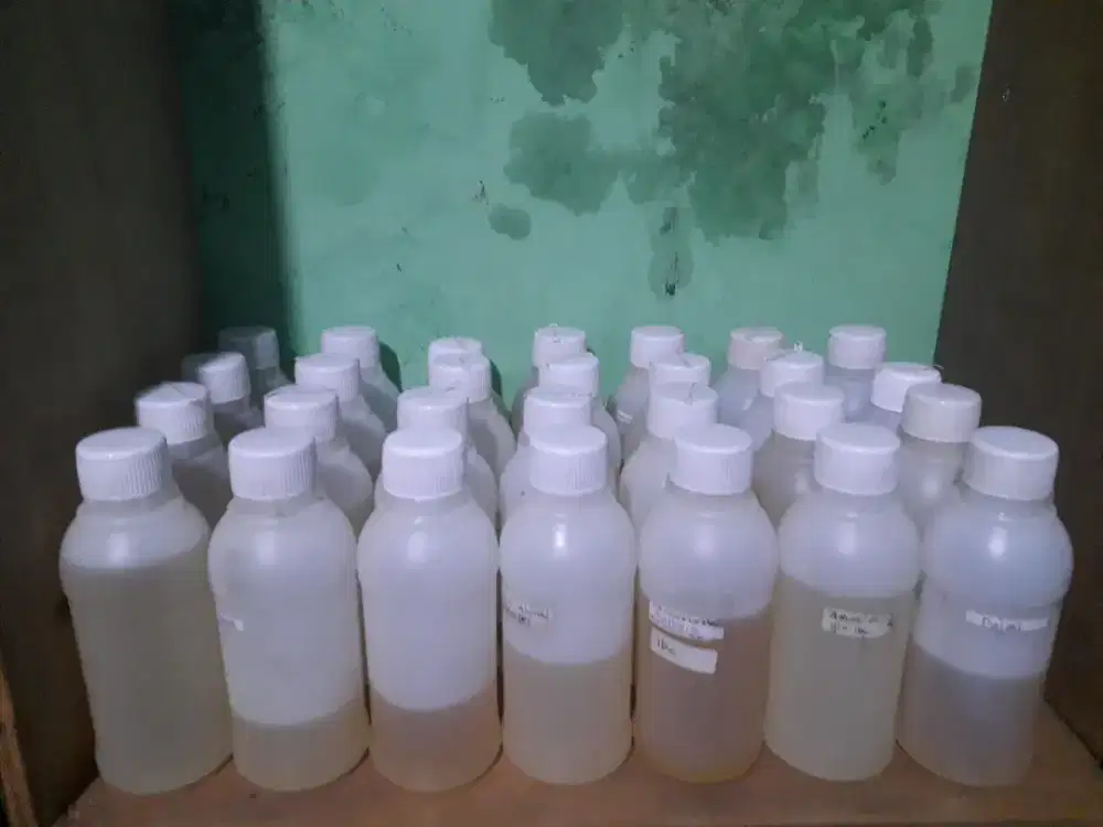 Bibit parfum sisa jualan