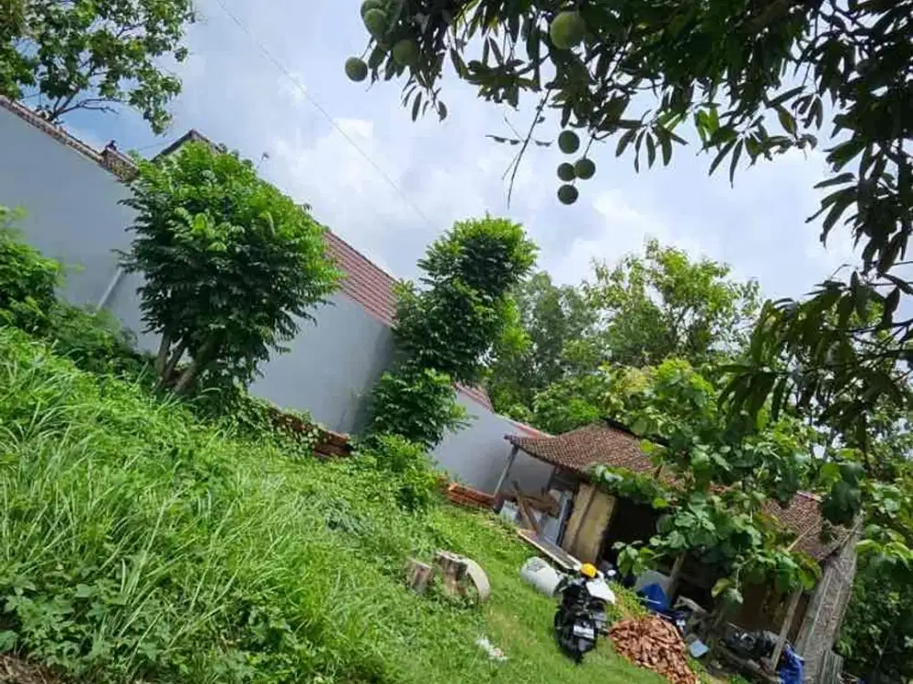 Dijual Cepat Tanah Pekarangan di Karangjati Kasihan Bantul