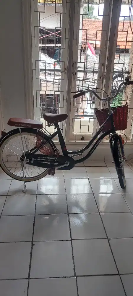 Sepeda mini keranjang ukuran 24