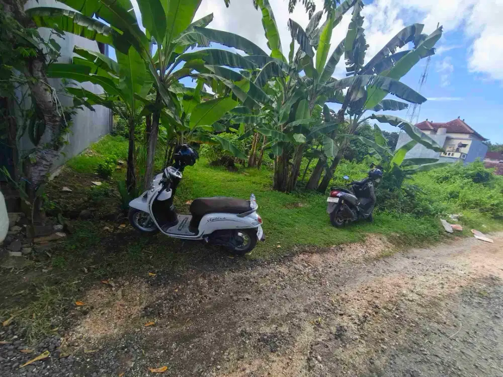 dijual tanah 120m² dekat poltekpar Bali STP nusa dua Kuta Selatan Badung Bali