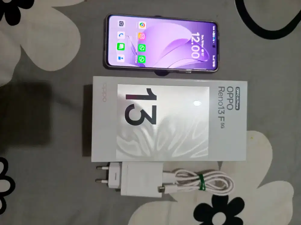 Oppo Reno 13F 5G 8/256