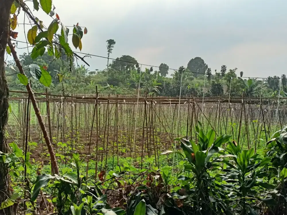 Kavling Strategis Area wisata Tamansari Bonus iPhone 17 Pro