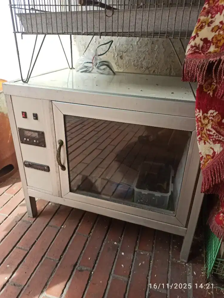 Penghangat anakan burung (unggas)