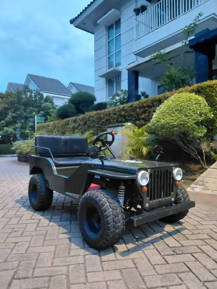 MINI JEEP BENSIN