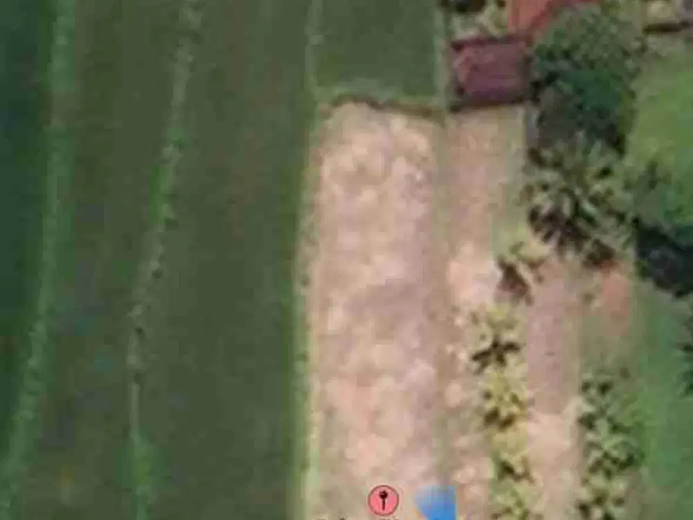 Lahan Murah Pejeng Ubud zona Perdagangan SHM view sawah