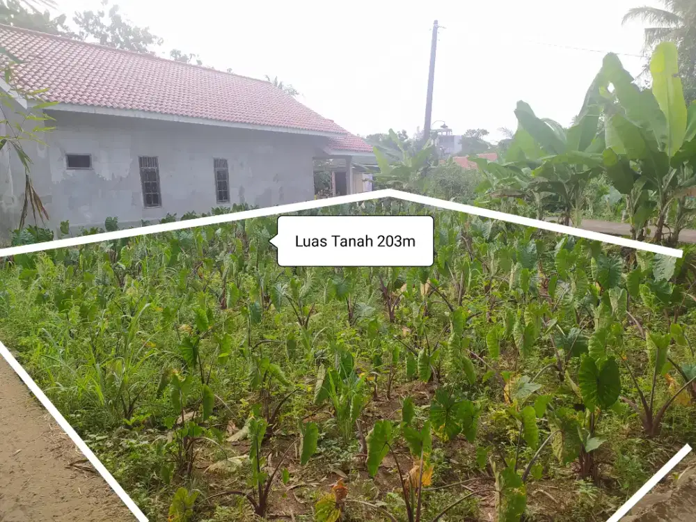 Dijual Tanah Kemang Bogor Murah 203m