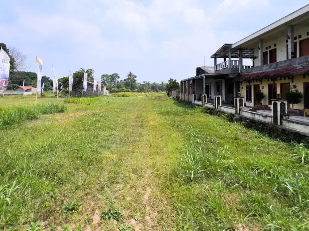 Tanah Pandowoharjo Utara Jejamuran Mangku Jalan Aspal
