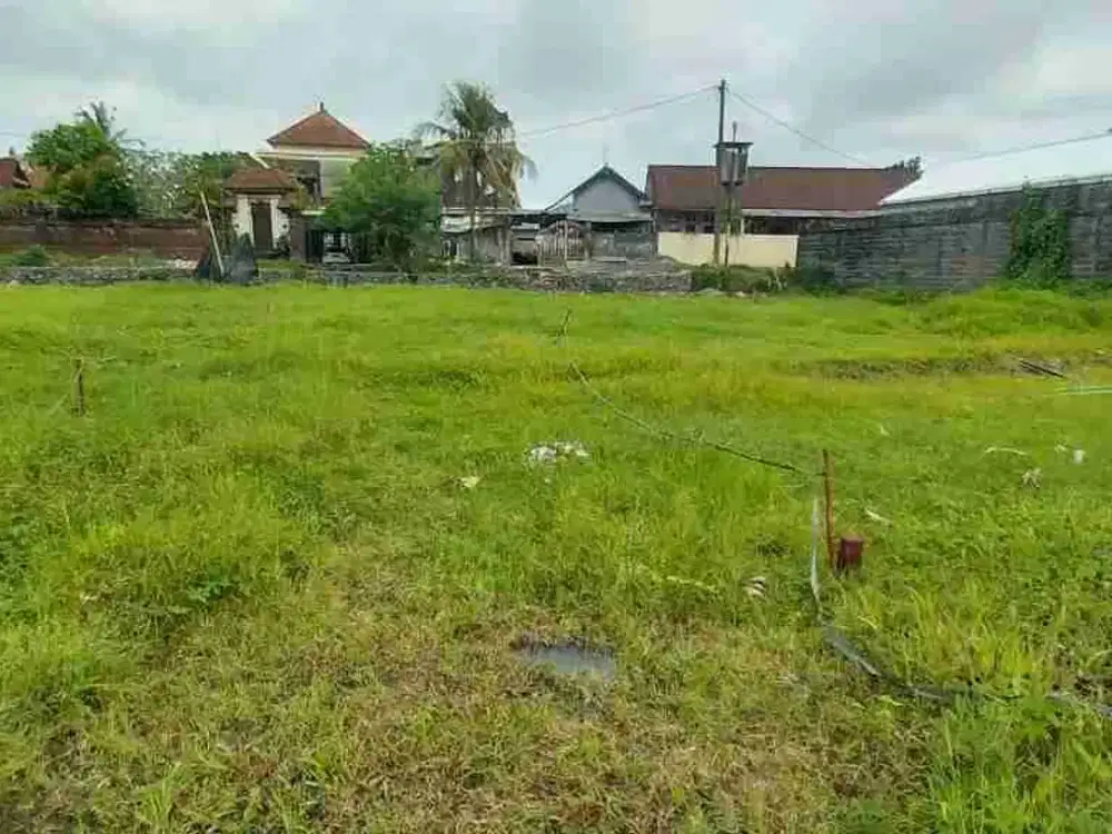 Lahan Langka munggu pemaron zona Kuning plot kecil lingkungan asri SHM