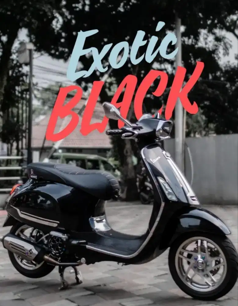 Vespa sprint/Primavera