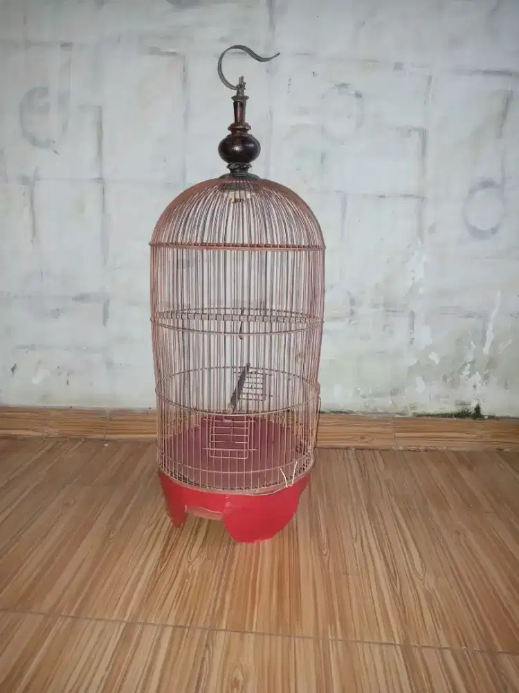Sangkar lovebird