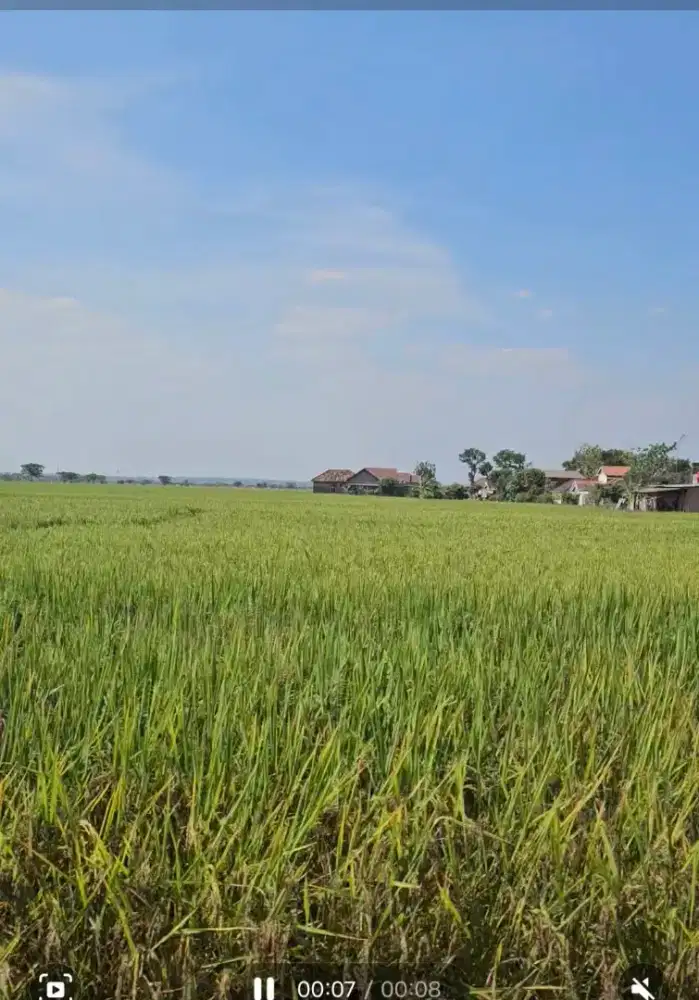 Dijual Tanah 1.693m²