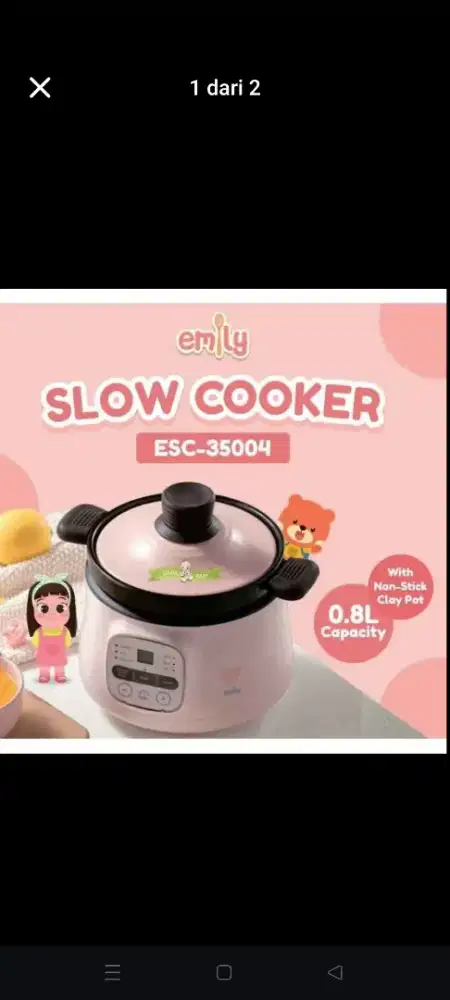 Slow cooker emily