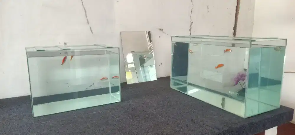 Jual 2 aquarium cpt b.u ukuran dah ada di foto