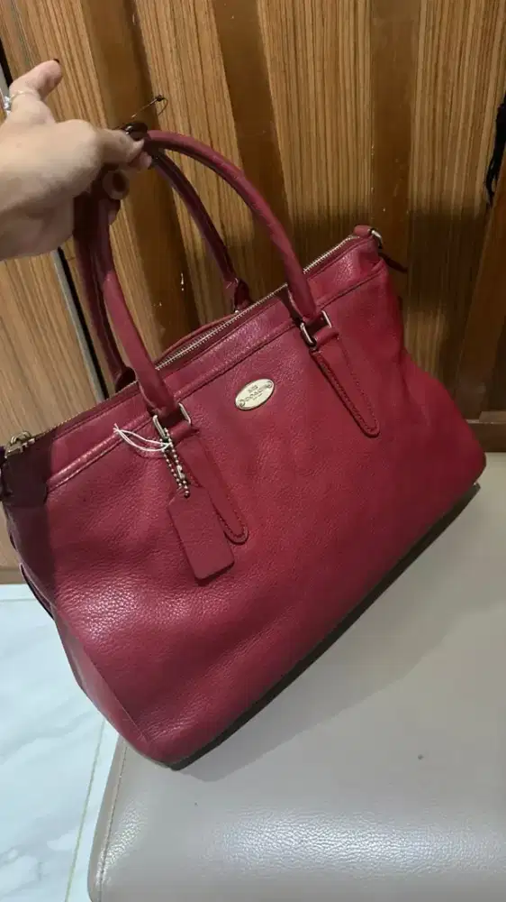 Tas coach morgan authen