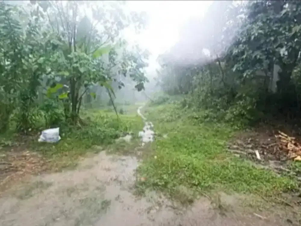 Tanah di Jembrana Negara Bali