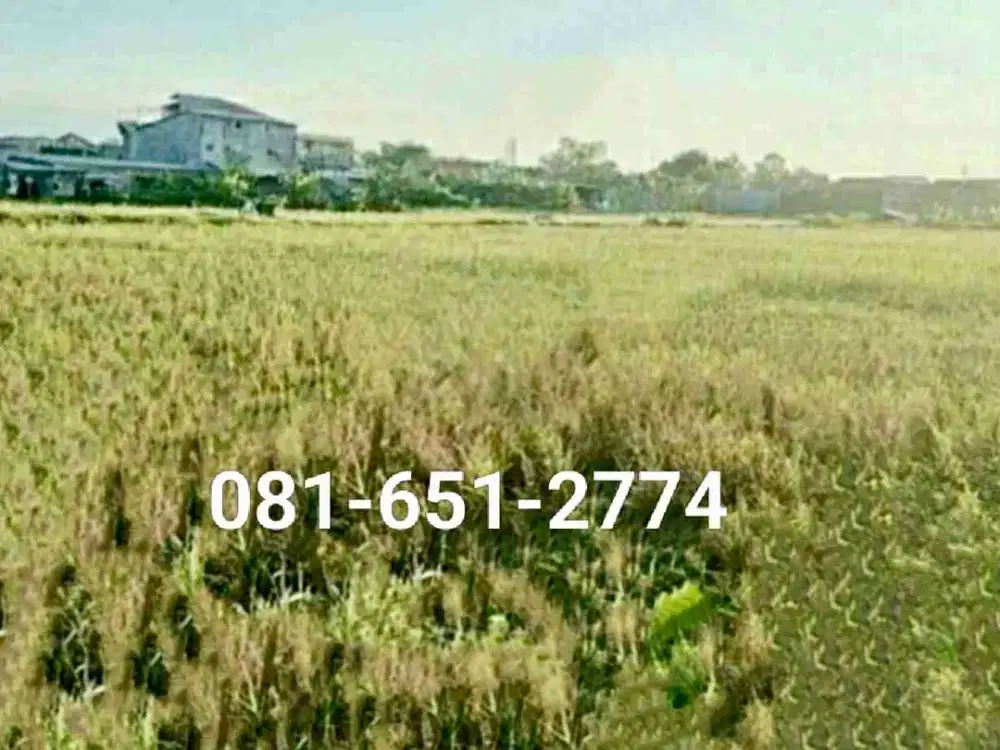 Tanah di Lingkar Timur Sidoarjo.