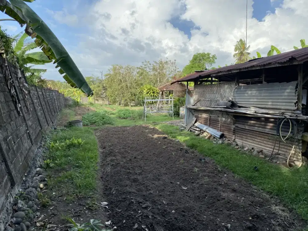 TANAH SIAP BANGUN DI JALAN UTAMA BAGUS BUAT INVESTASI DI JEMBARANA NEGARA BALI