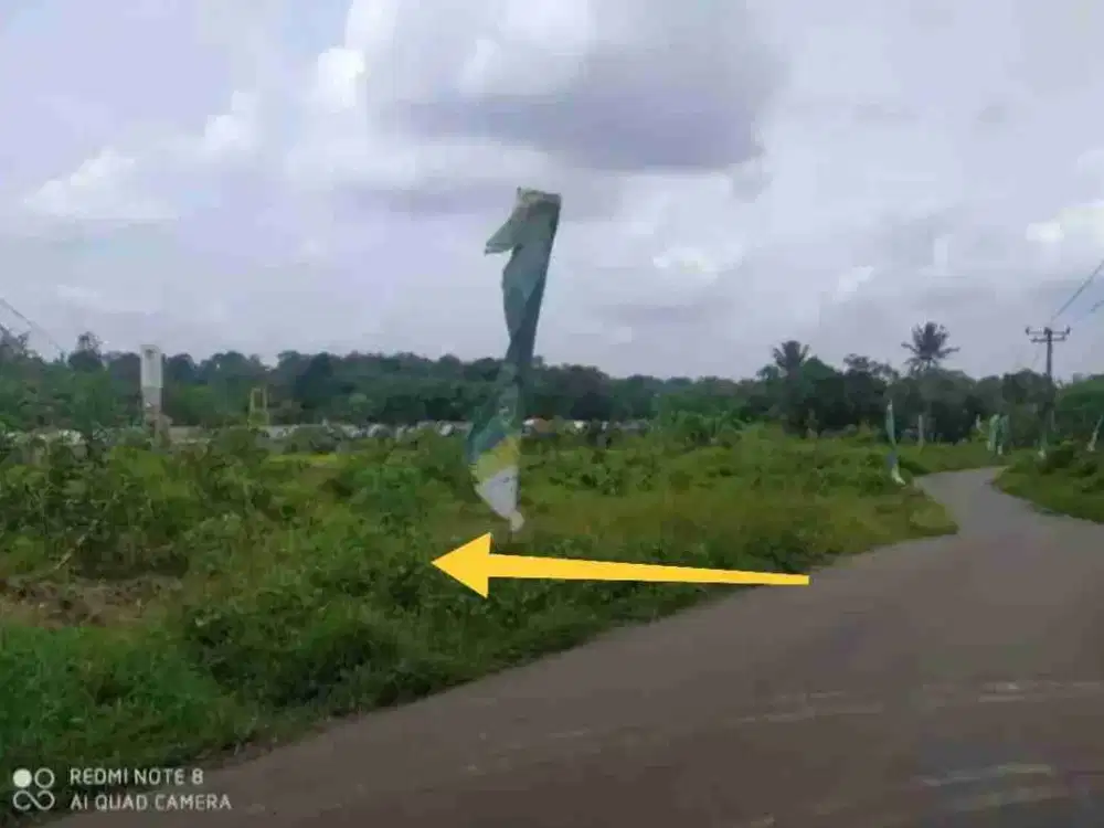 tanah dijual di Tenjo jl Raya cilaku