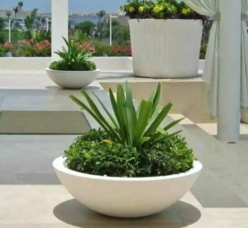 Gasssssssss order guysssssss