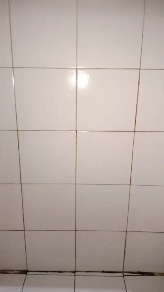 Cuci tandon atas basa ruma