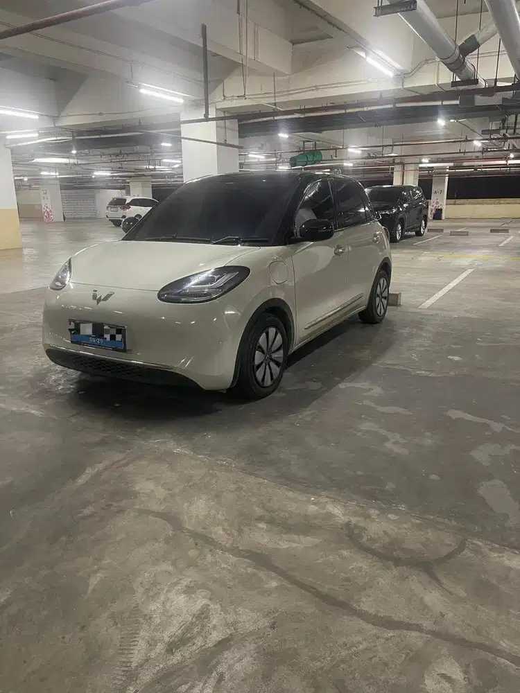 Disewakan Wuling Binguo free gaji Supir