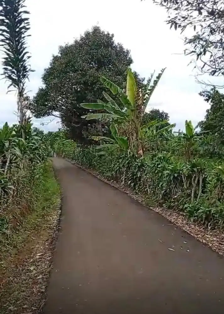 lokasi Bsa Buat ternak atau Buat cemground wisata d sukabumi