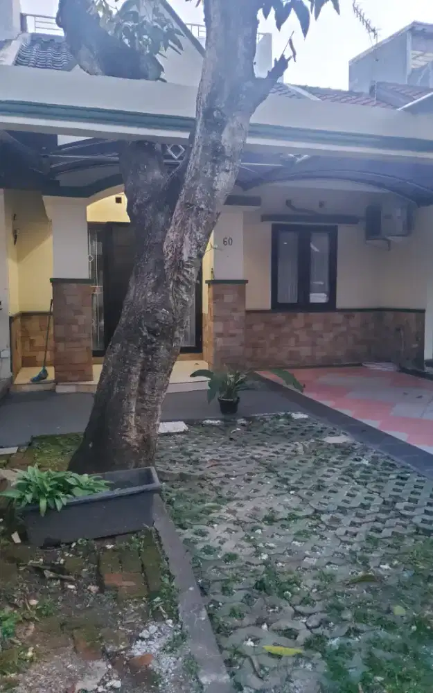 For rent house at tangerang alam sutera di sewakan rumah semi furnish