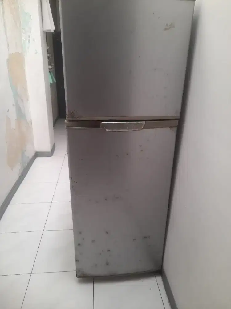 Kulkas Elektrolux 2 Pintu