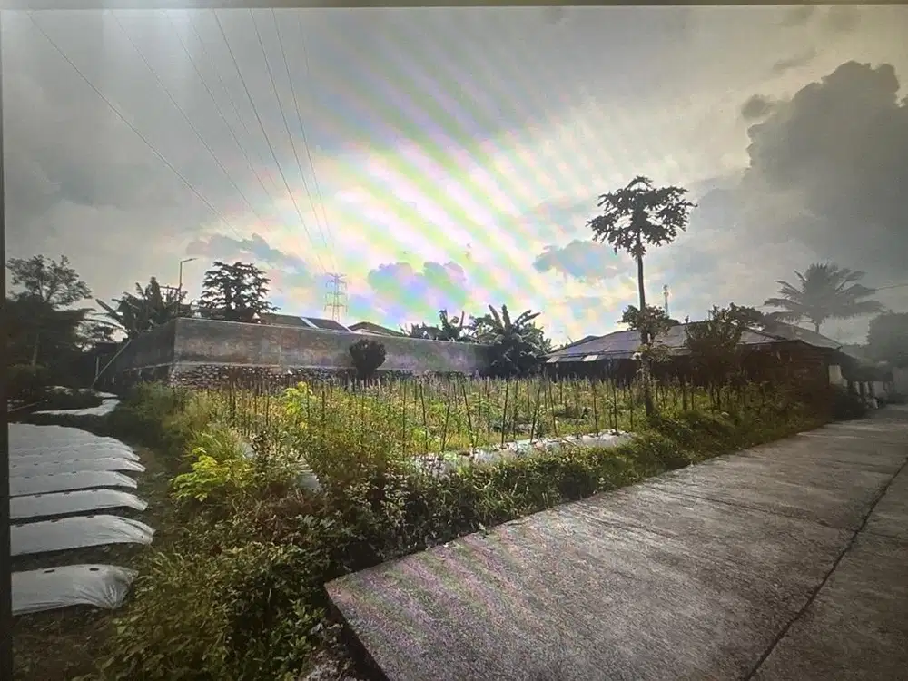 Dijual Cepat Tanah SHM Temanggung