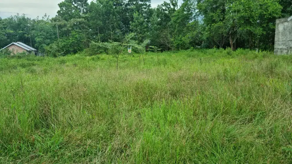 Di jual tanah di meritai Semampir