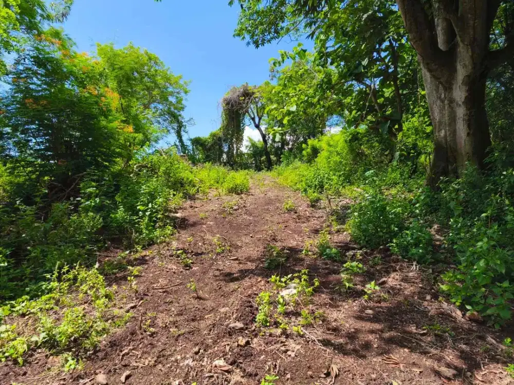 Tanah Kavling MURAH Area Kampial Nusa Dua