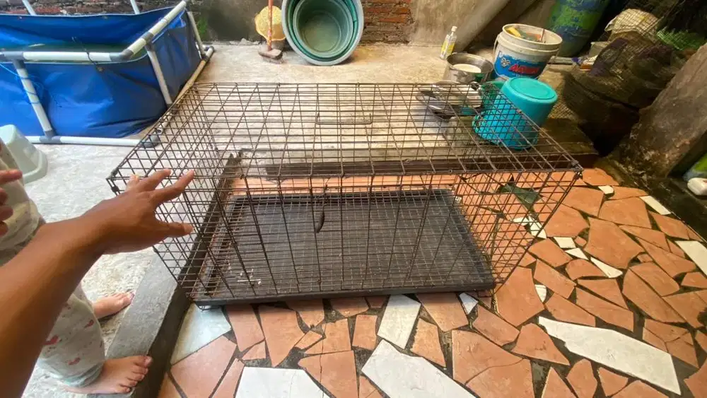 Kandang kucing/kelinci uk 75x40