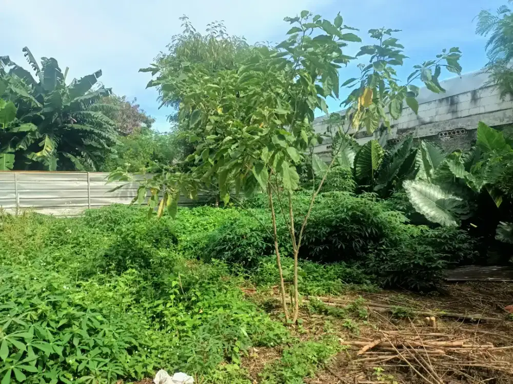 Kavling  Murah Berkualitas DurenSawitAL