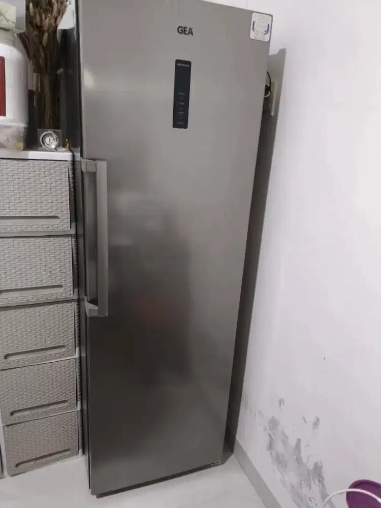 Standing Freezer GEA GF-307