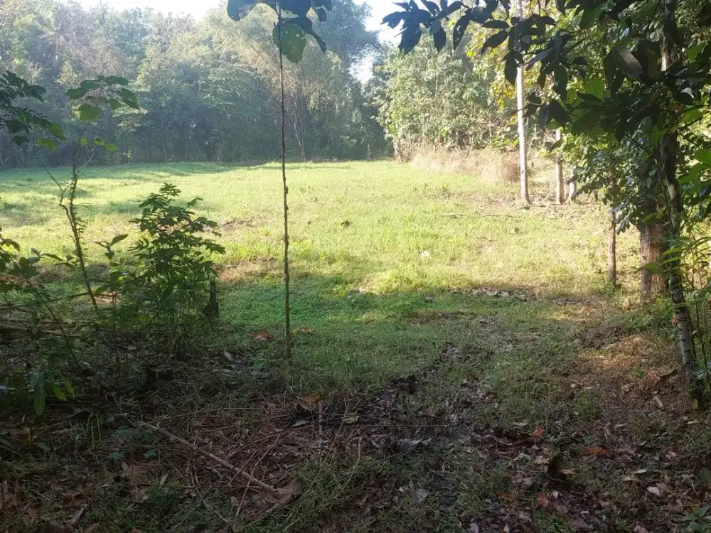 Jual Cepat! Tanah Strategis Bangunjiwo, Dekat UMY