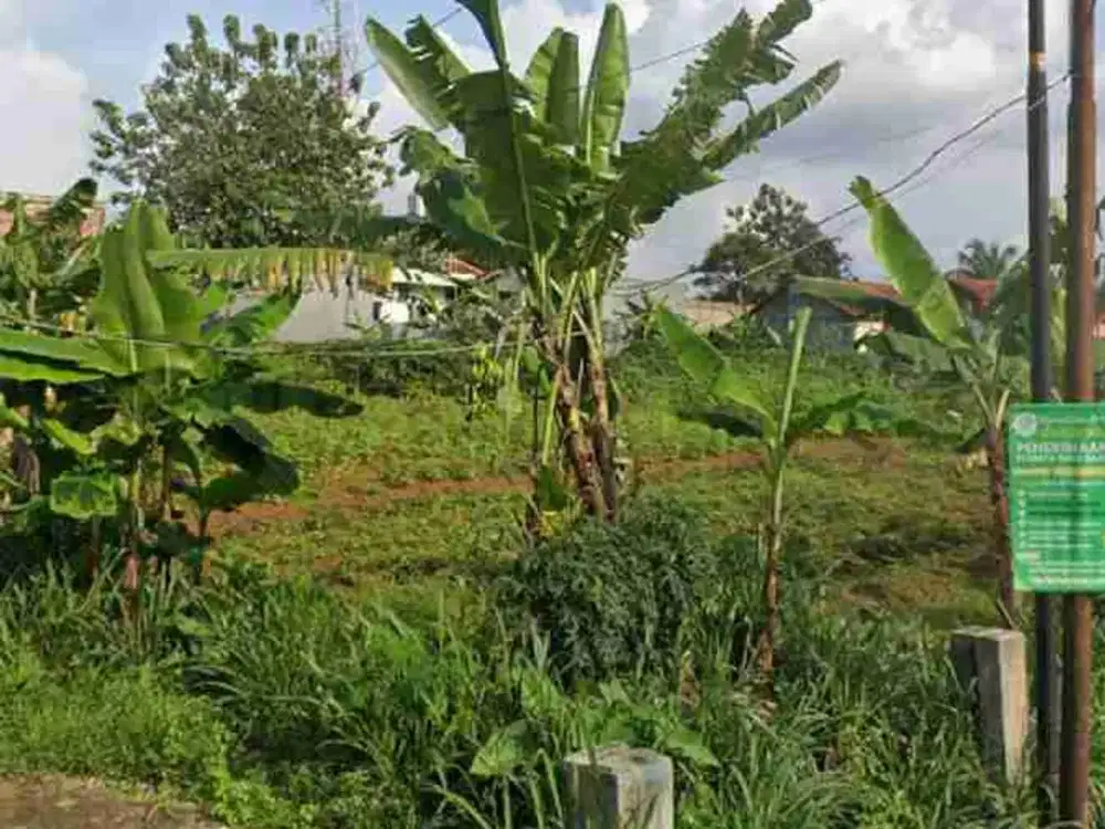 Tanah sewa pinggir jalan raya ciampea
