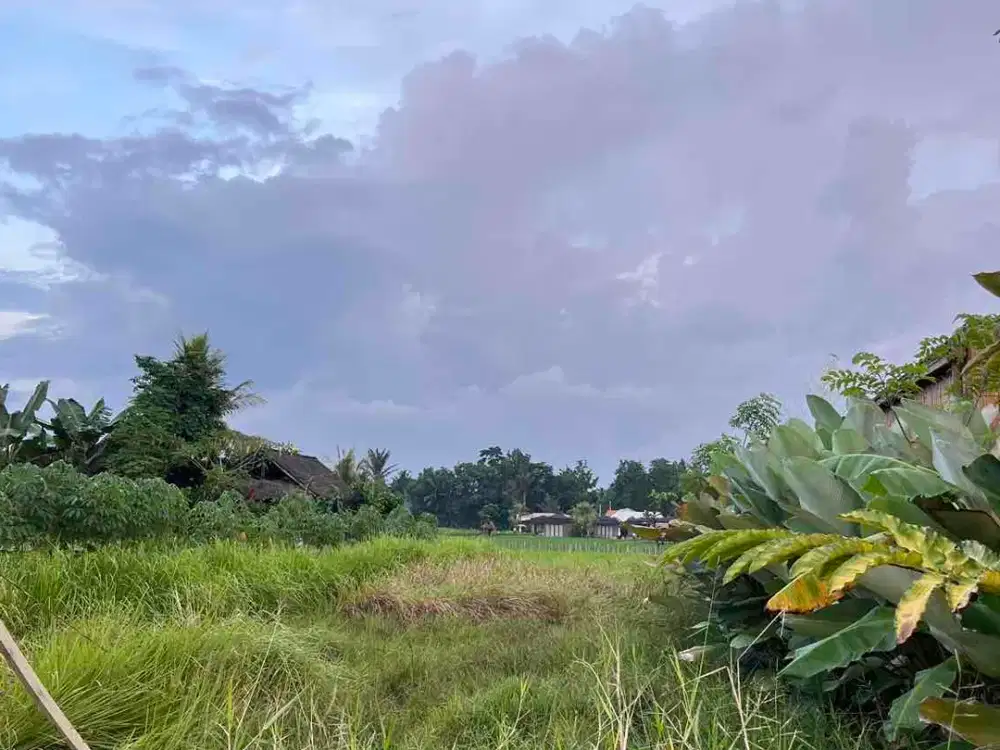 Dijual Tanah 3.3 Are Singakerta, Ubud
